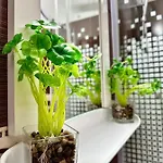 Sholiday Modern Cu Parcare Gratuita In Daire