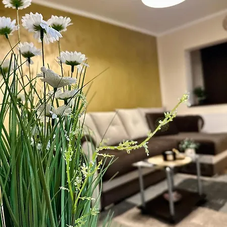 Sholiday Modern Cu Parcare Gratuita In *