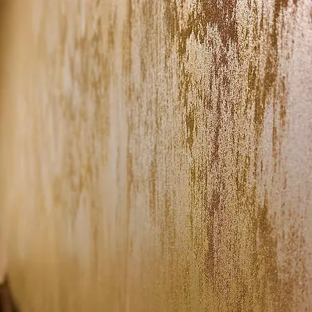 Sholiday Modern Cu Parcare Gratuita In * Temeşvar