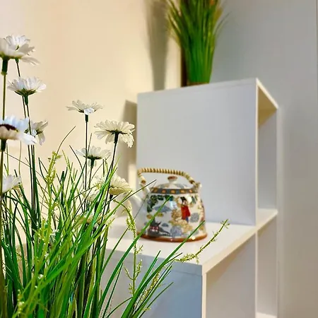 Sholiday Modern Cu Parcare Gratuita In Daire Temeşvar