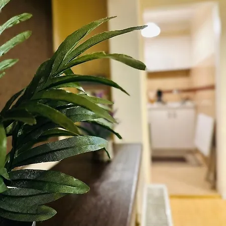 Daire Sholiday Modern Cu Parcare Gratuita In