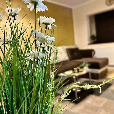 Sholiday Studio Apartment & Free Parking !