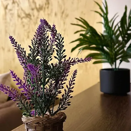 Sholiday Modern Cu Parcare Gratuita In