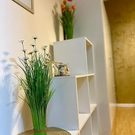 Apartament Cu Parcare La Locatie !!! Timişoara