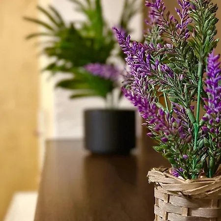 Sholiday Modern Cu Parcare Gratuita In Temeşvar