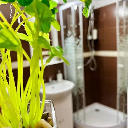 Sholiday Modern Cu Parcare Gratuita In