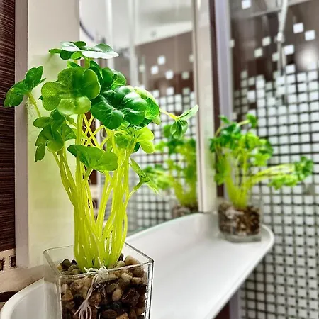 Sholiday Modern Cu Parcare Gratuita In Daire