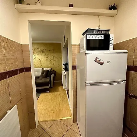 Cu Parcare La Locatie !!! Apartament Timişoara