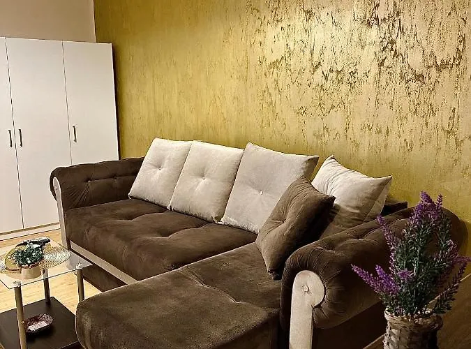 Sholiday Modern Cu Parcare Gratuita In * Timișoara