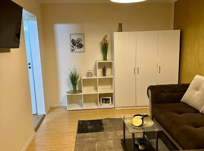 Sholiday Modern Cu Parcare Gratuita In * Timișoara