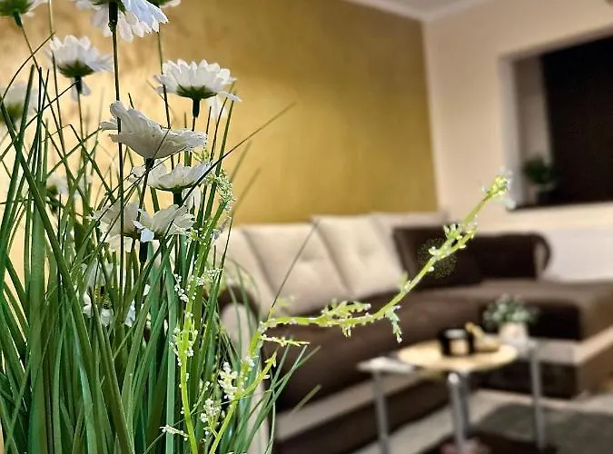 Sholiday Modern Cu Parcare Gratuita In *