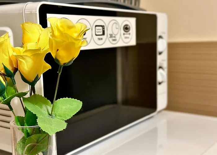 Sholiday Modern Cu Parcare Gratuita In Apartament *