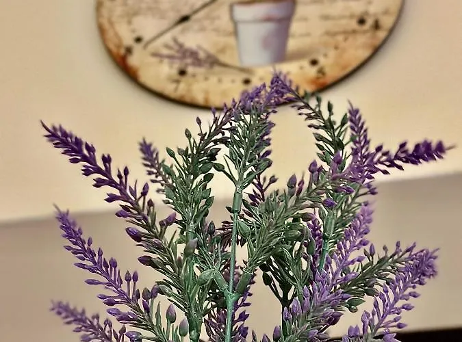 Sholiday Modern Cu Parcare Gratuita In Appartamento *