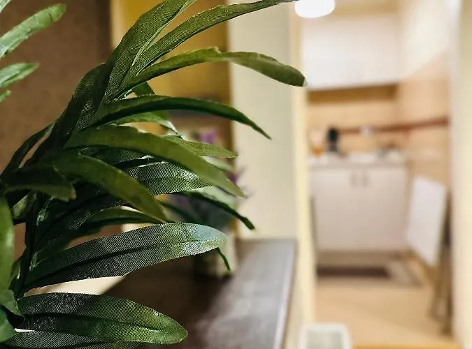 Apartament Sholiday Modern Cu Parcare Gratuita In