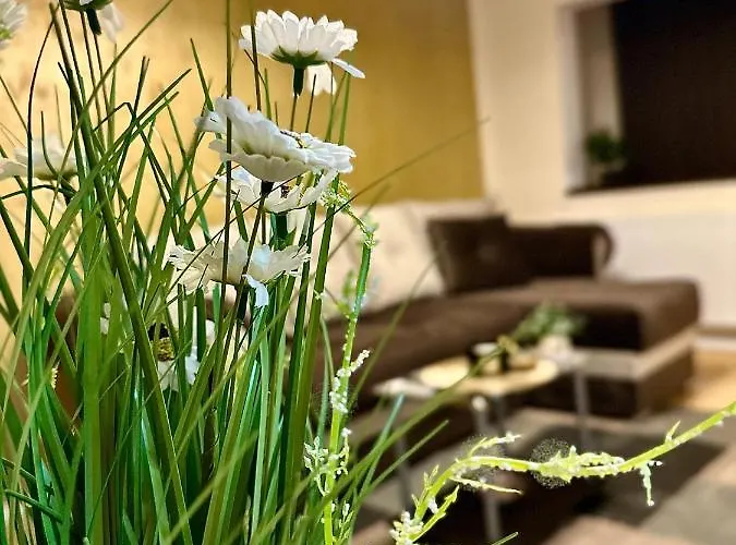 Sholiday Modern Cu Parcare Gratuita In