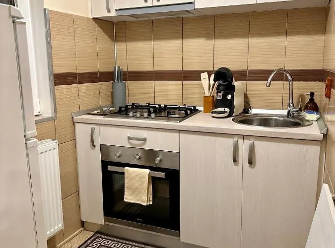 Apartament Sholiday Modern Cu Parcare Gratuita In Timișoara