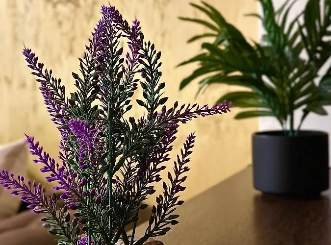 Sholiday Modern Cu Parcare Gratuita In