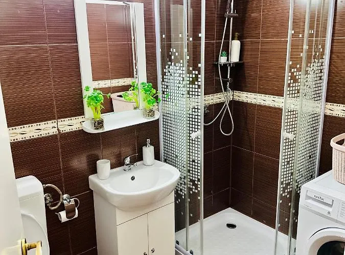 Apartament Sholiday Modern Cu Parcare Gratuita In Timișoara