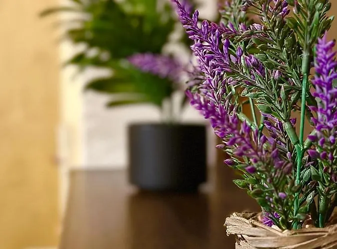 Sholiday Modern Cu Parcare Gratuita In Timișoara