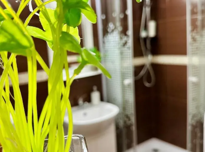 Sholiday Modern Cu Parcare Gratuita In