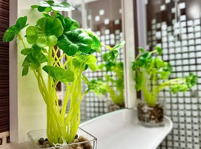 Sholiday Modern Cu Parcare Gratuita In Apartament