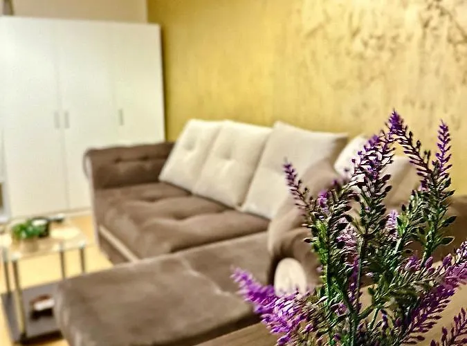 Sholiday Modern Cu Parcare Gratuita In Apartament *