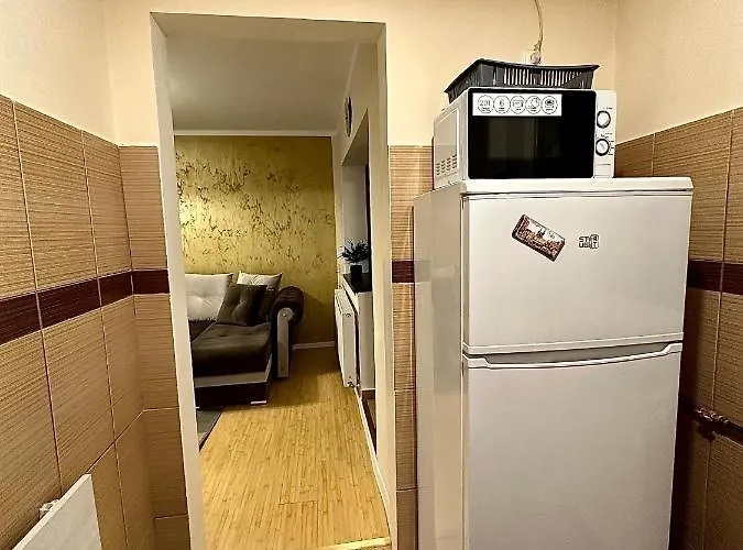 Sholiday Modern Cu Parcare Gratuita In Apartament Timișoara