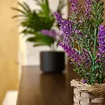 Sholiday Modern Cu Parcare Gratuita In Timisoara