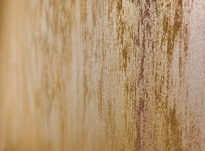 Sholiday Modern Cu Parcare Gratuita In * Timisoara